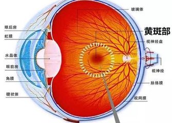 【科普】老年性黃斑變性可以治好嗎？